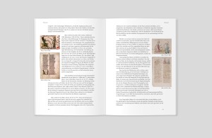 doppelinnenseite, textseiten mit farbigen textabbildungen