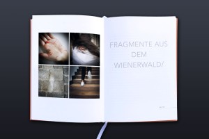 doppelinnenseite – links bildseite, 4 quadratische bilder im quadrat angeordnet, thematisch zum thema der geschichte passend, rechts titel in versalien