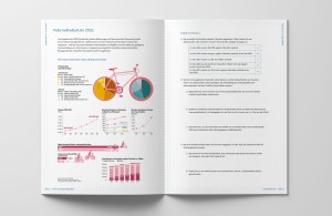 Unterrichtsbehelf »Maturatraining – Infografiken« von mischa – Medien in Schule und Ausbildung, Infografik Fahrradindustrie