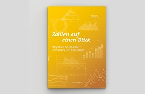 Alternativer Coverentwurf für den Unterrichtsbehelf »Zahlen auf einen Blick – Infografiken & Schaubilder lesen, analysieren & bearbeiten« von mischa – Medien in Schule und Ausbildung