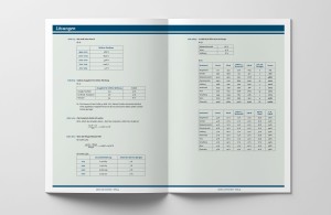 Unterrichtsbehelf »Zahlen auf einen Blick – Infografiken & Schaubilder lesen, analysieren & bearbeiten« von mischa, Lösungen