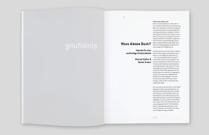 doppelinnenseite, linke seite grauer hintergrund mit weißer spiegelverkehrter schrift (einleitung), rechts: beginn der einleitung, überschrift rechtsbündig in der linken spalte, fließtext in der rechten spalte