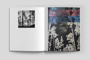 Katalog-Innenseite Regina Zachhalmel Werkgruppen, Bilddoppelseite